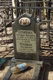 Спивак Фрейда Ицковна, Москва, Востряковское кладбище